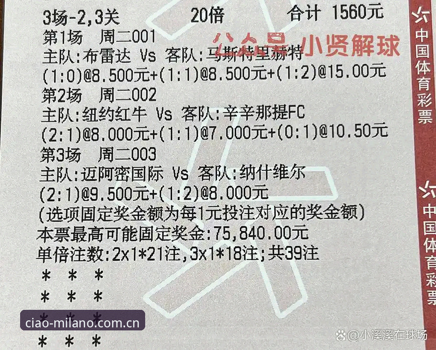 米兰官网CN官方版 vs 第三方修改版：哪个更适合下载最新milano官方版apk？