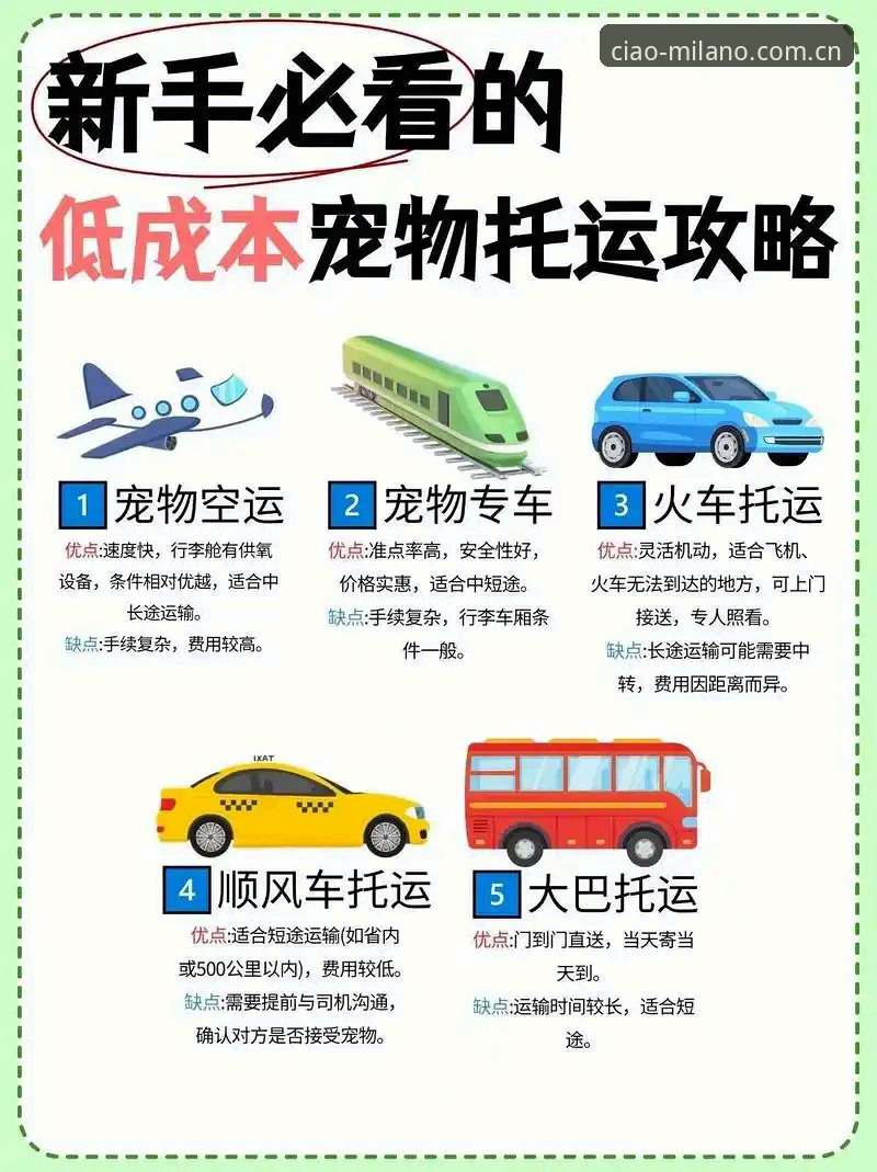 米兰体育官网最新版品牌首页功能详解——新手保姆级操作指南